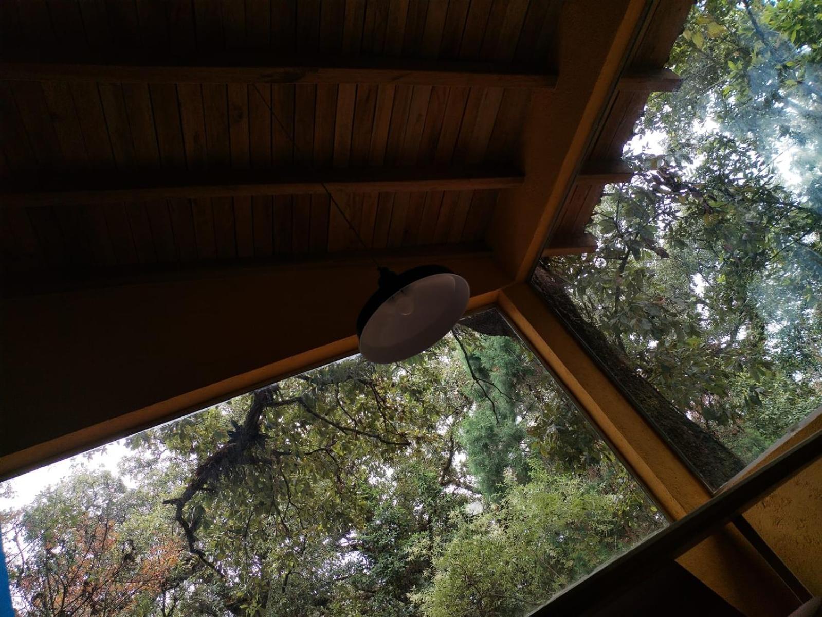 La Cabana Azul Al Fondo Del Bosque De טפוזטלן מראה חיצוני תמונה
